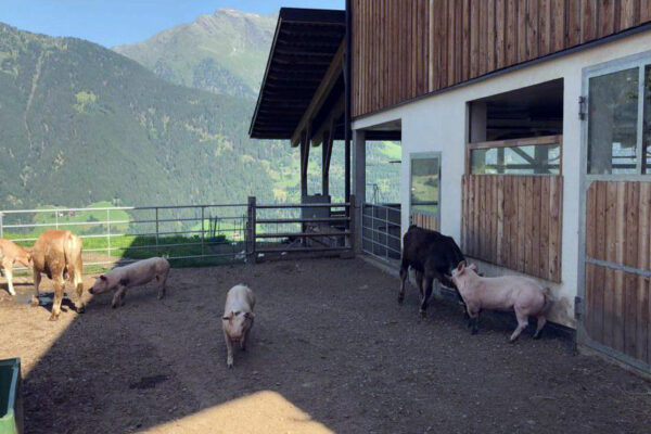 oberpirchhof-30